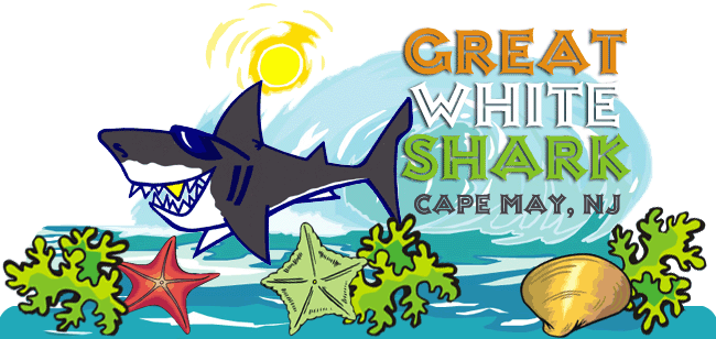 Great White Shark Cape May T-shirts Sweatshirts Caps Gifts
