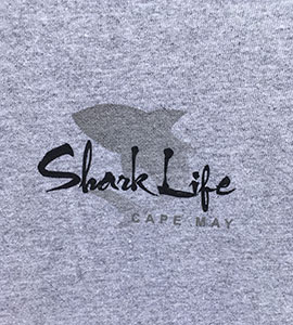 Shark Life