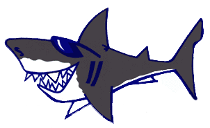 Great White Shark