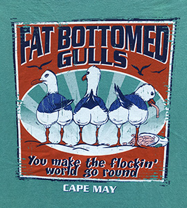 Fat bottomed gulls you make the flockin' world go round. Cape May