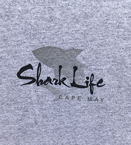 Shark Life. Cape May